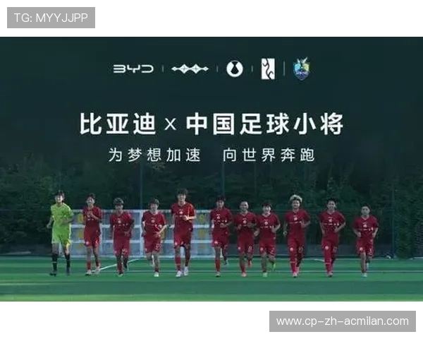 “青训专家：系统化培养是中国足球的未来”，足球 系统